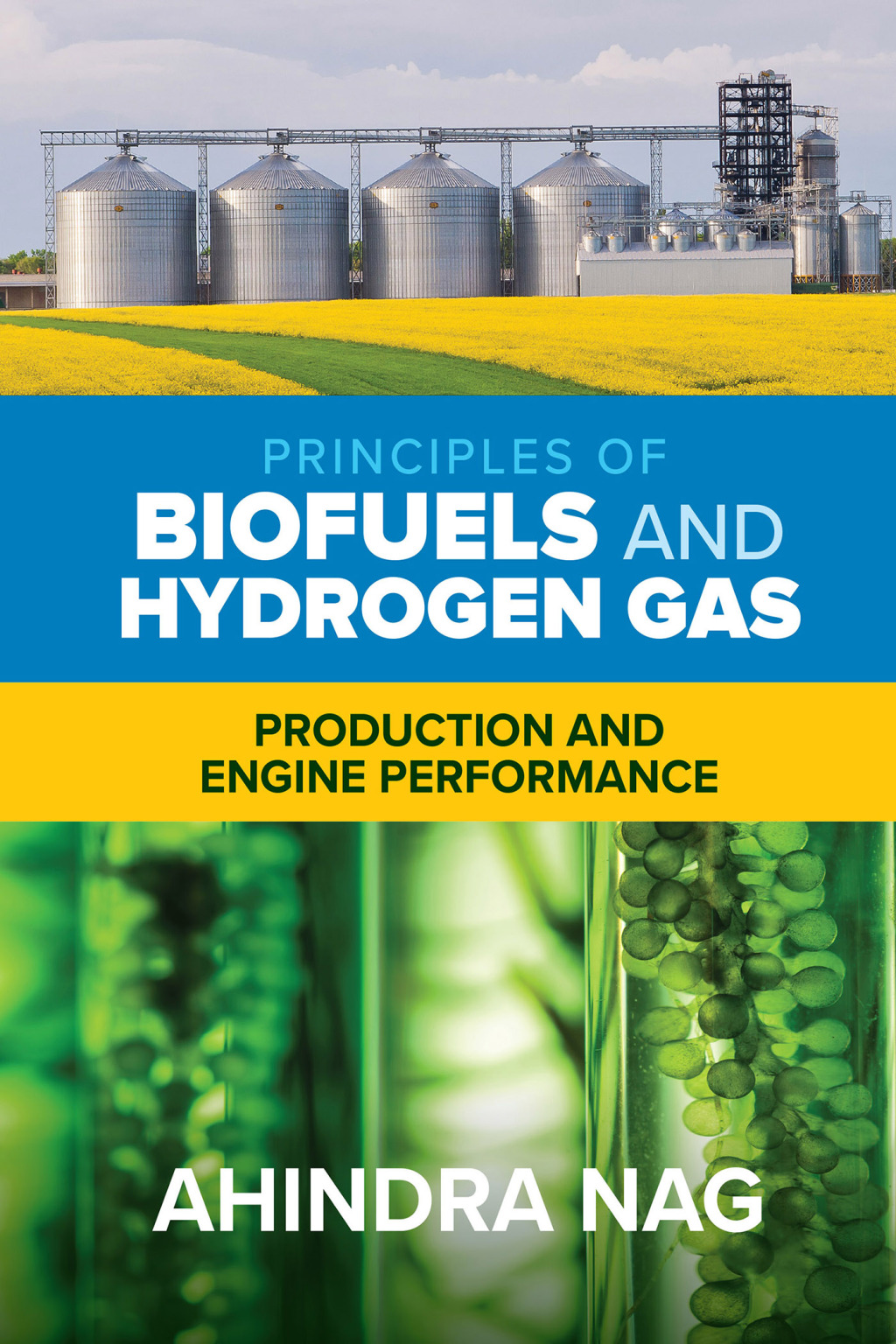 Principles of Biofuels and Hydrogen Gas: Production and Engine Performance 1st Edition â€“ PDF/EPUB Version Downloadable