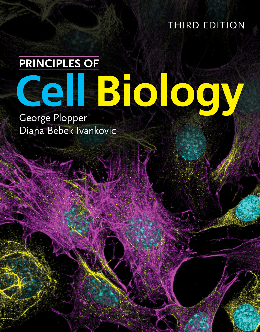 Principles of Cell Biology 3rd Edition â€“ PDF/EPUB Version Downloadable