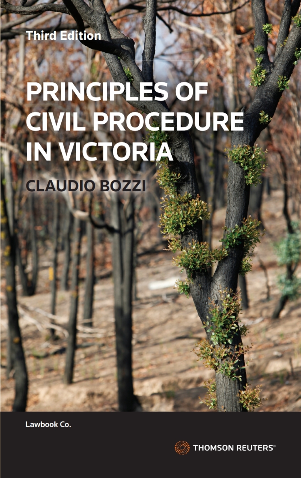 Principles of Civil Procedure in VIC 3rd Edition â€“ PDF/EPUB Version Downloadable