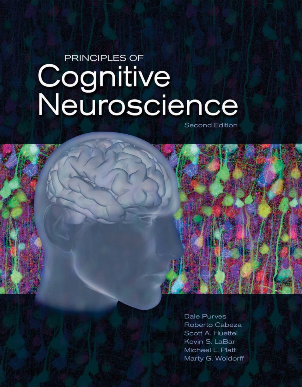 Principles of Cognitive Neuroscience 2nd Edition â€“ PDF/EPUB Version Downloadable