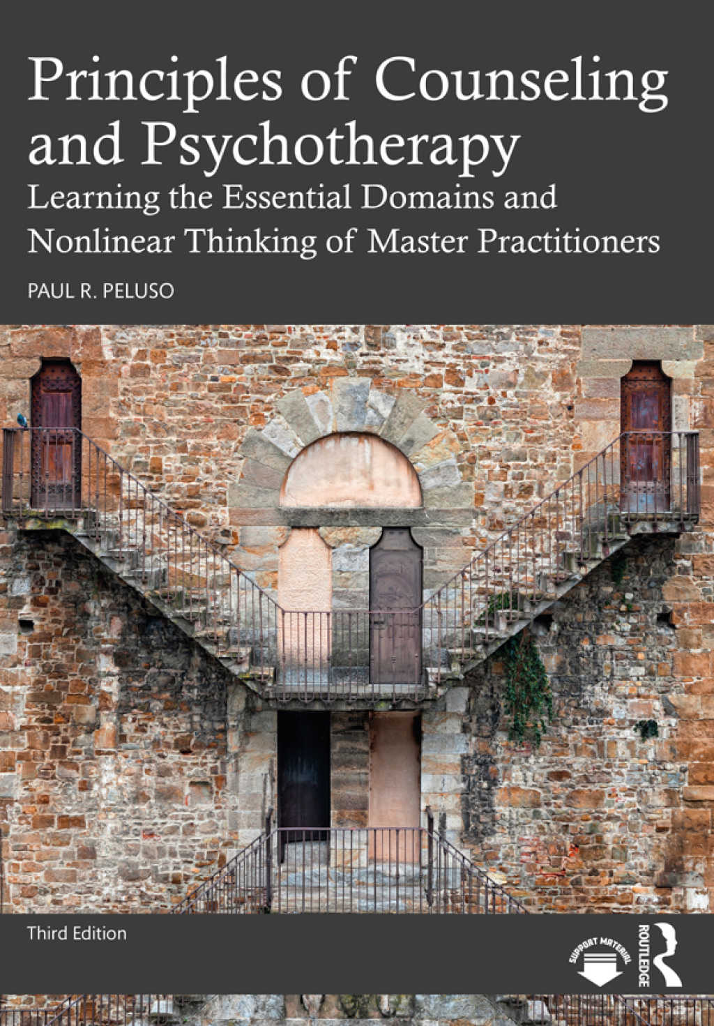 Principles of Counseling and Psychotherapy Learning the Essential Domains and Nonlinear Thinking of Master Practitioners 3rd Edition â€“ PDF/EPUB Version Downloadable
