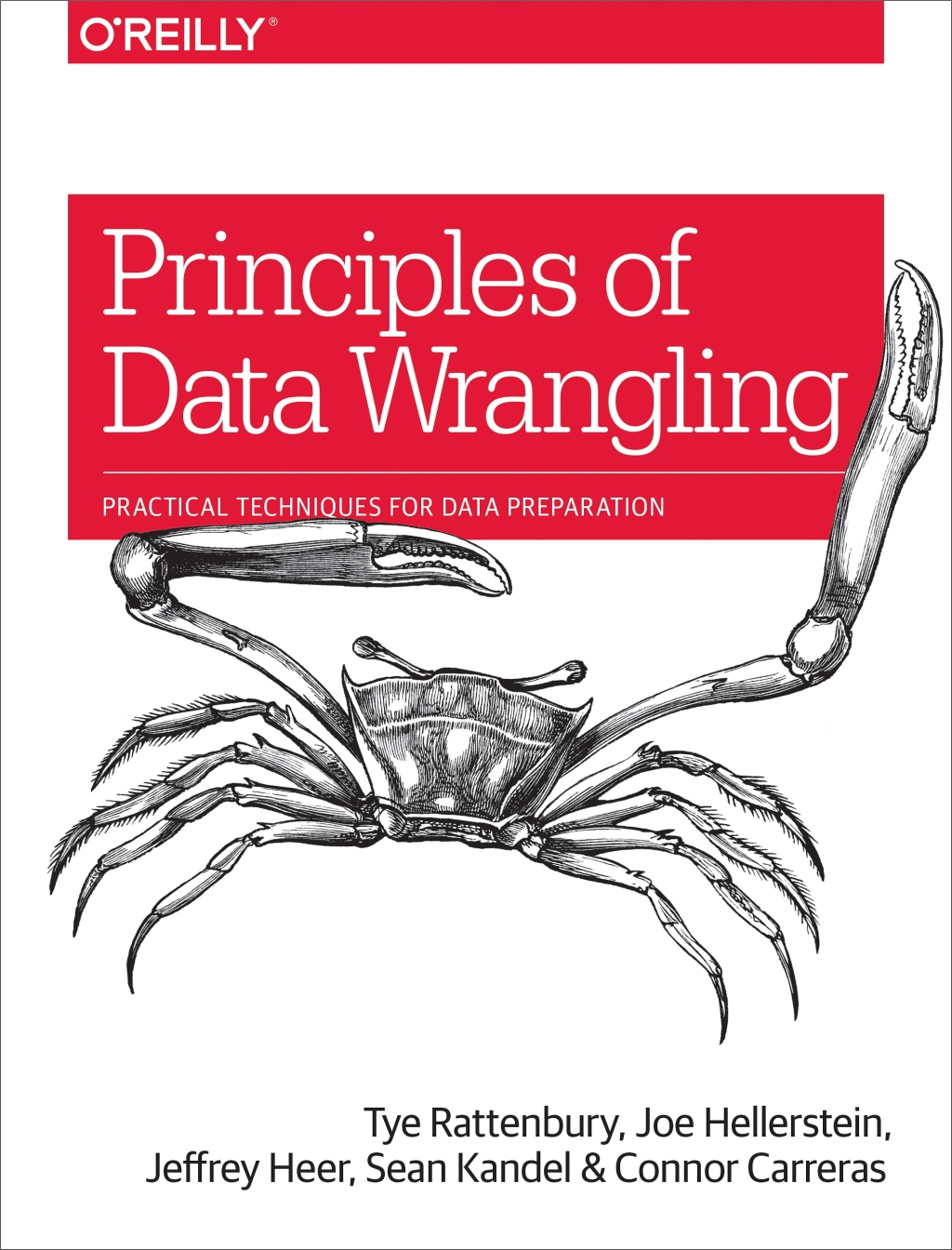 Principles of Data Wrangling Practical Techniques for Data Preparation 1st Edition - (PDF/EPUB Version)