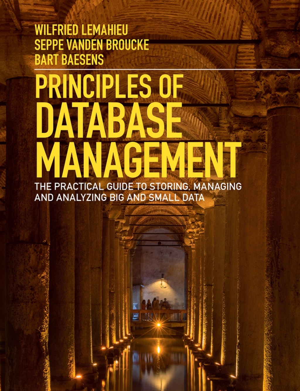 Principles of Database Management The Practical Guide to Storing, Managing and Analyzing Big and Small Data  â€“ PDF/EPUB Version Downloadable