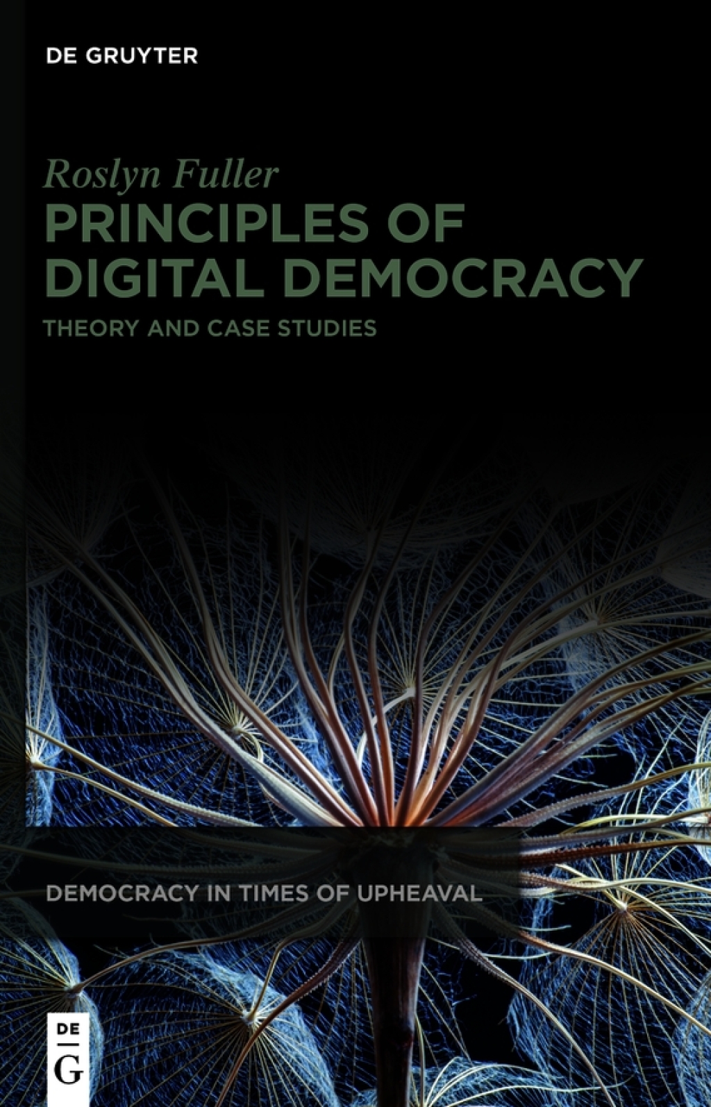 Principles of Digital Democracy Theory and Case Studies 1st Edition – PDF/EPUB Version Downloadable