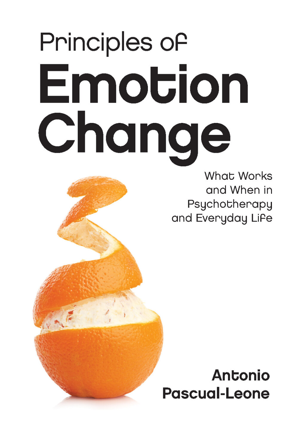 Principles of Emotion Change What Works and When in Psychotherapy and Everyday Life  â€“ PDF/EPUB Version Downloadable