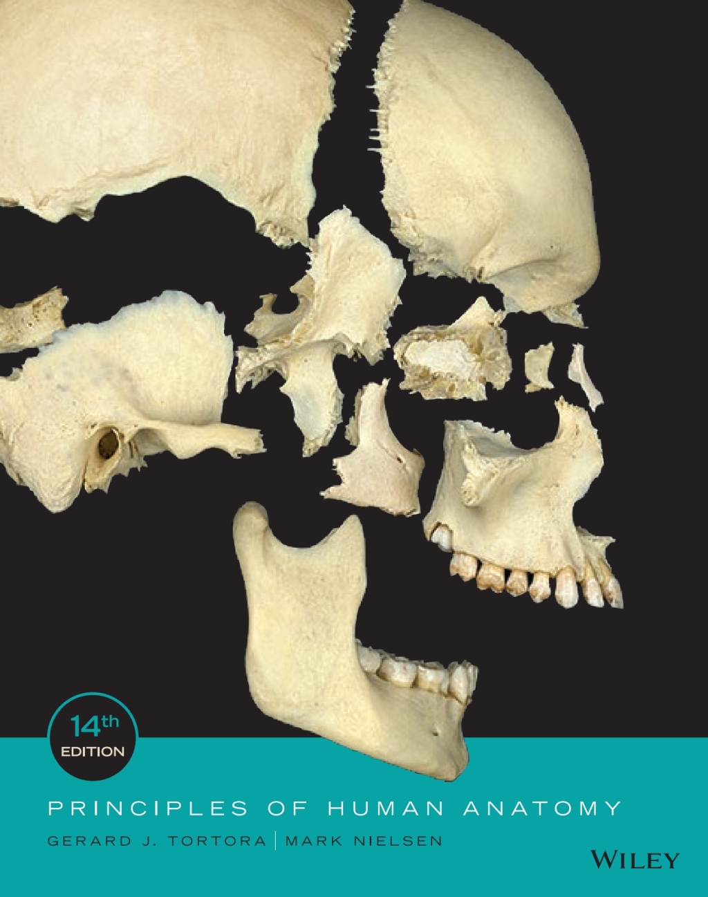 Principles of Human Anatomy, Fourteenth Edition WileyPLUS Single-term 14th Edition â€“ PDF/EPUB Version Downloadable