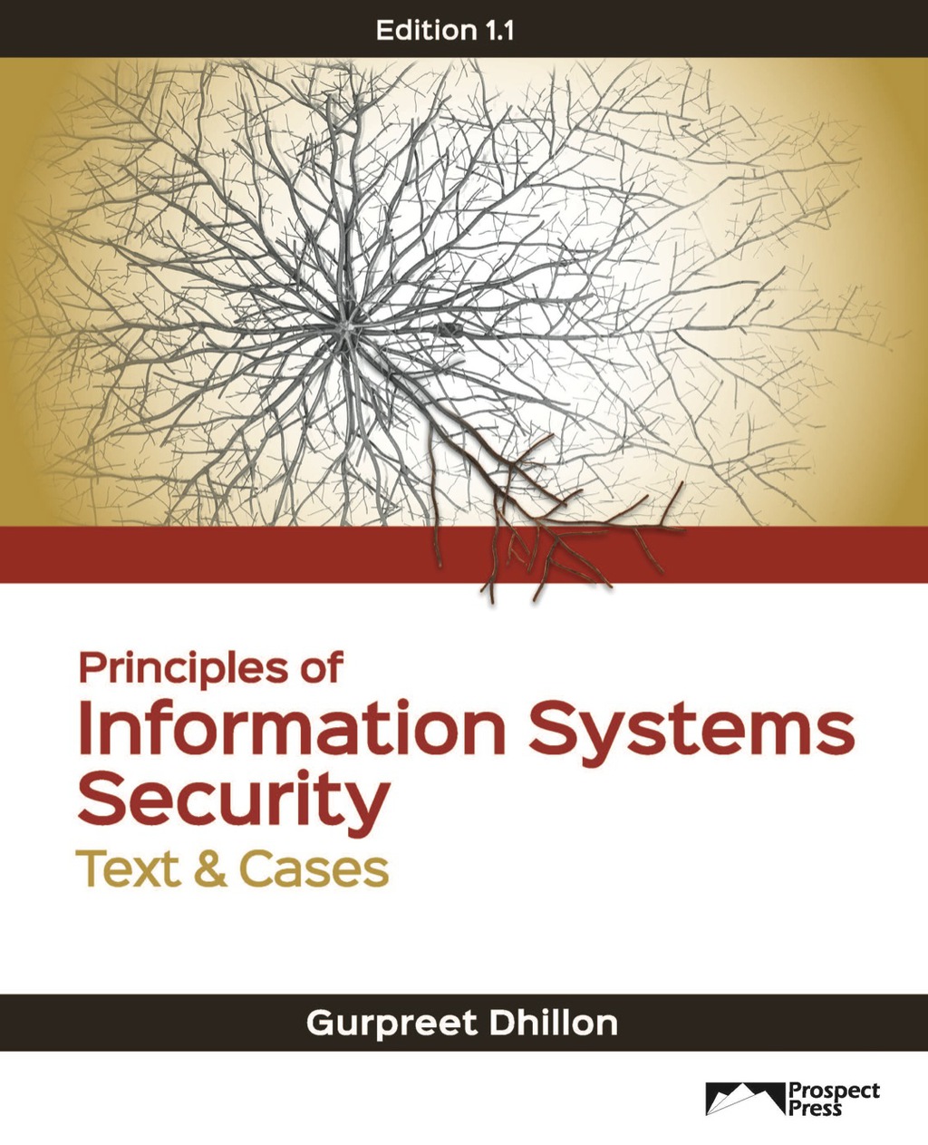 Principles of Information Systems Security: Text & Cases  â€“ PDF/EPUB Version Downloadable