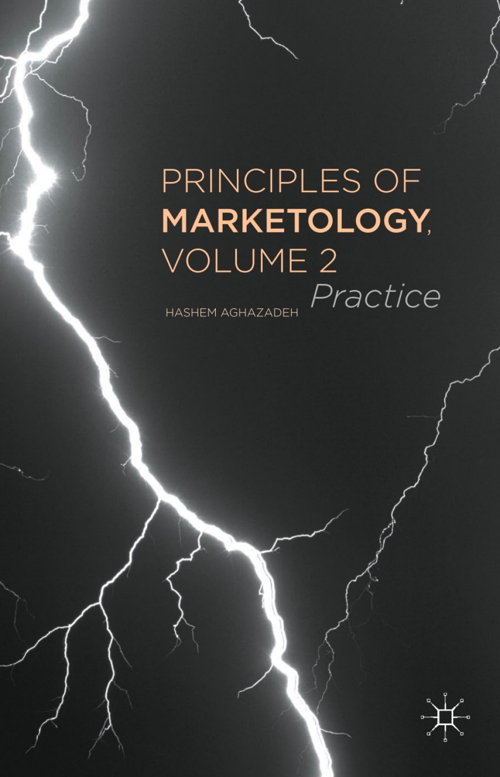 Principles of Marketology, Volume 2 Practice  â€“ PDF/EPUB Version Downloadable