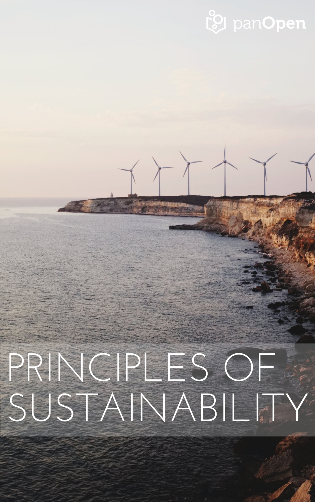 Principles of Sustainability 1st Edition â€“ PDF/EPUB Version Downloadable