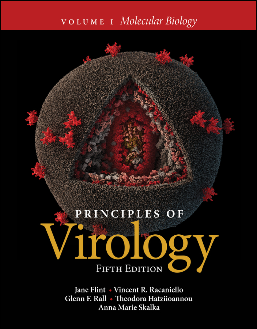 Principles of Virology, Volume 1 Molecular Biology 5th Edition â€“ PDF/EPUB Version Downloadable