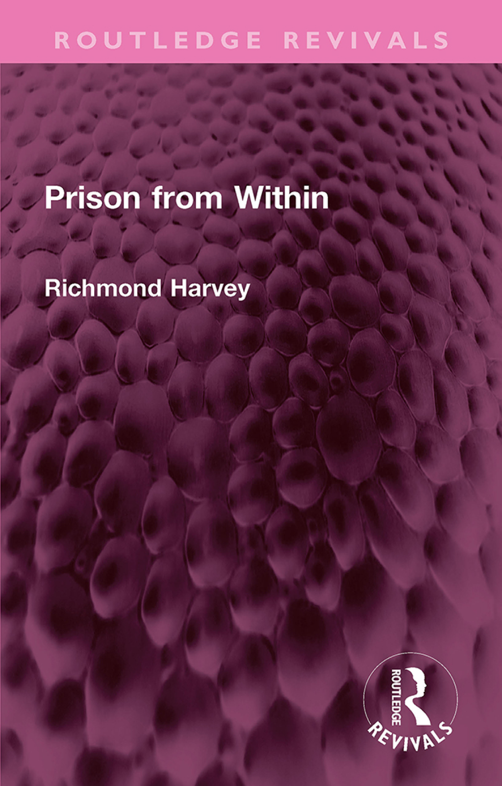 Prison from Within 1st Edition â€“ PDF/EPUB Version Downloadable