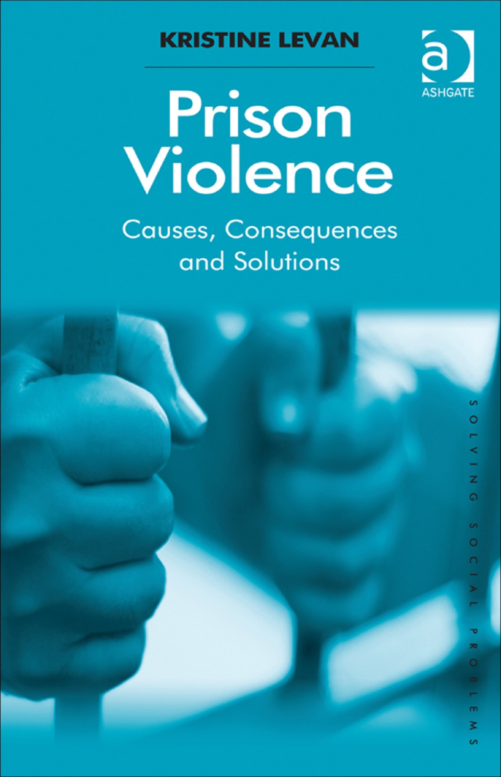 Prison Violence: Causes, Consequences and Solutions  â€“ PDF/EPUB Version Downloadable