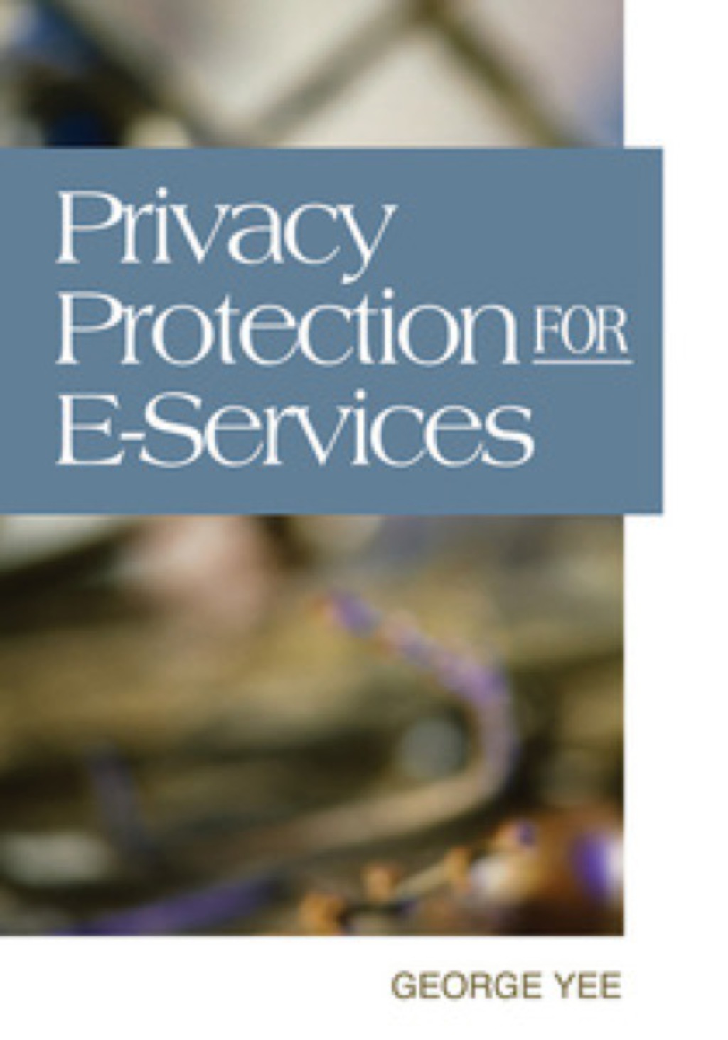 Privacy Protection for E-Services  â€“ PDF/EPUB Version Downloadable