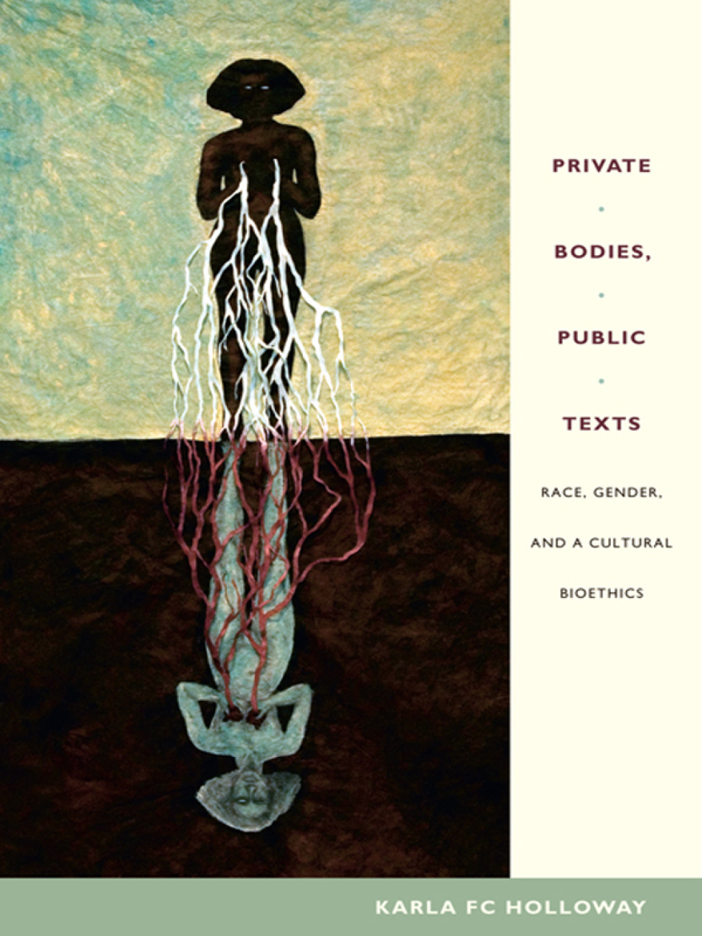 Private Bodies, Public Texts Race, Gender, and a Cultural Bioethics - (PDF/EPUB Version)