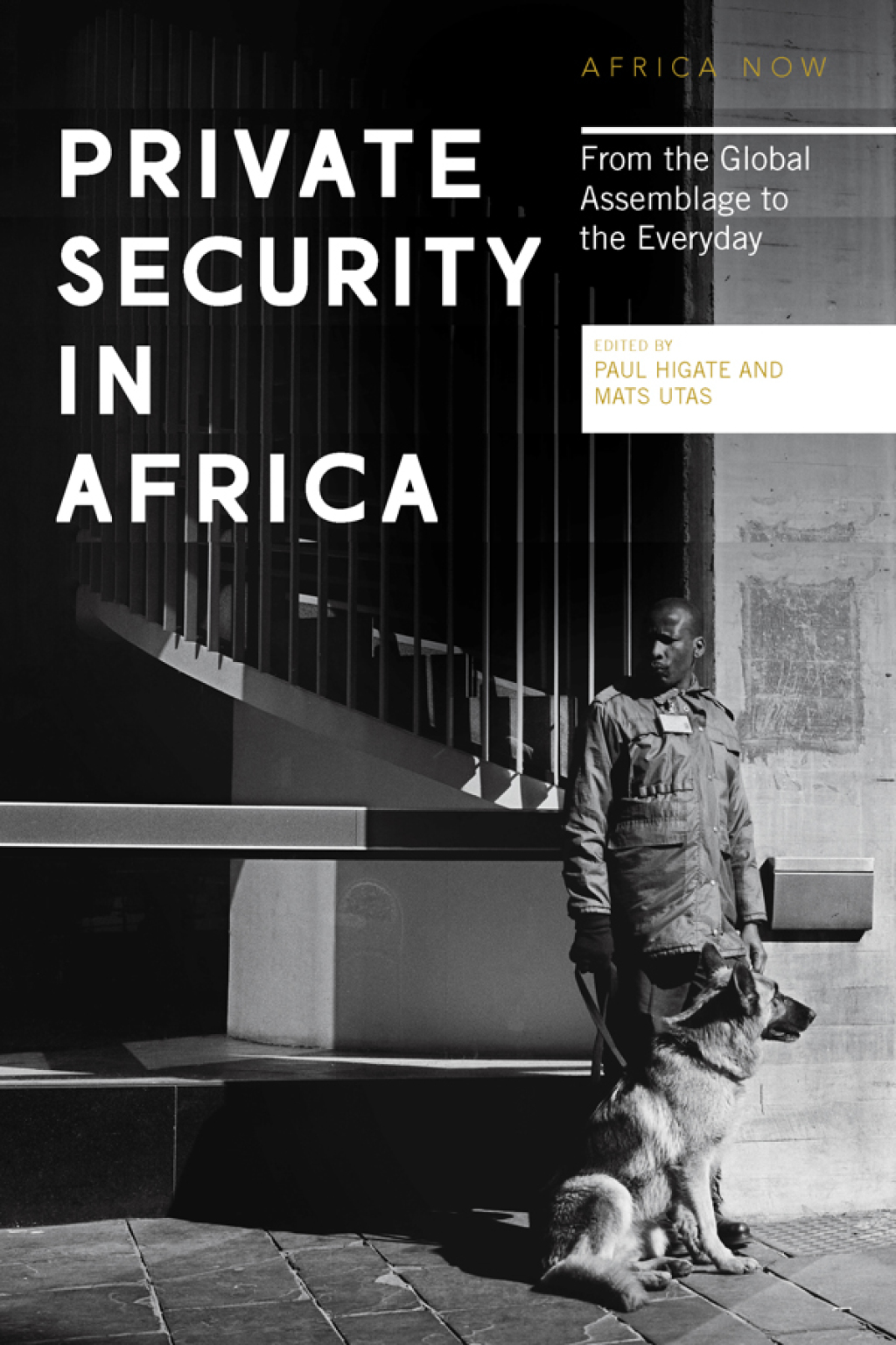 Private Security in Africa From the Global Assemblage to the Everyday 1st Edition â€“ PDF/EPUB Version Downloadable