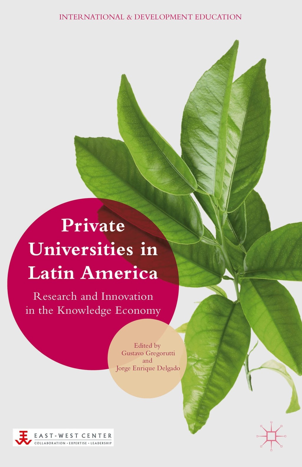 Private Universities in Latin America Research and Innovation in the Knowledge Economy  â€“ PDF/EPUB Version Downloadable