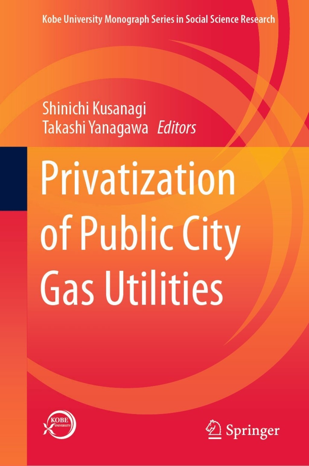 Privatization of Public City Gas Utilities 1st Edition â€“ PDF/EPUB Version Downloadable
