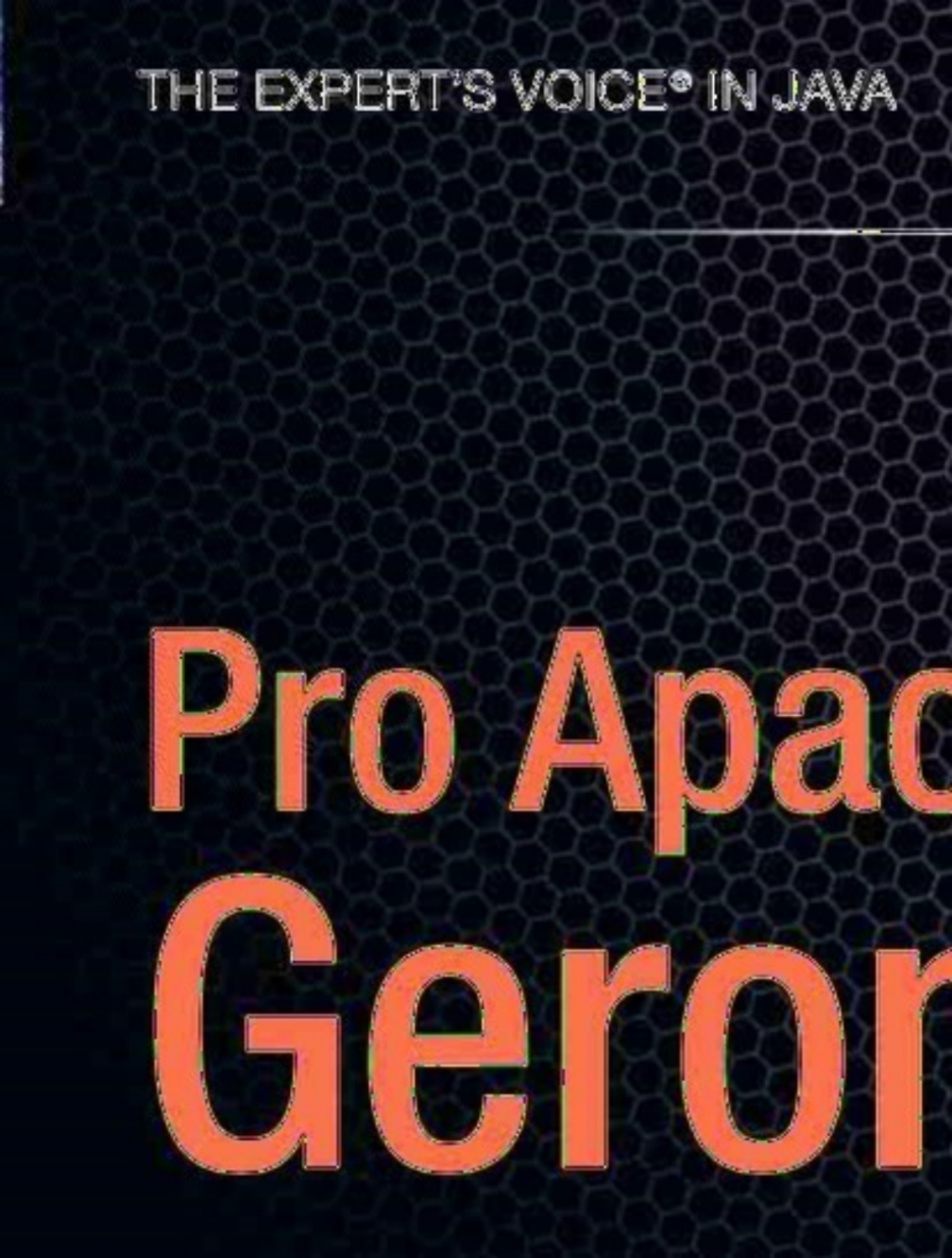 Pro Apache Geronimo  â€“ PDF/EPUB Version Downloadable