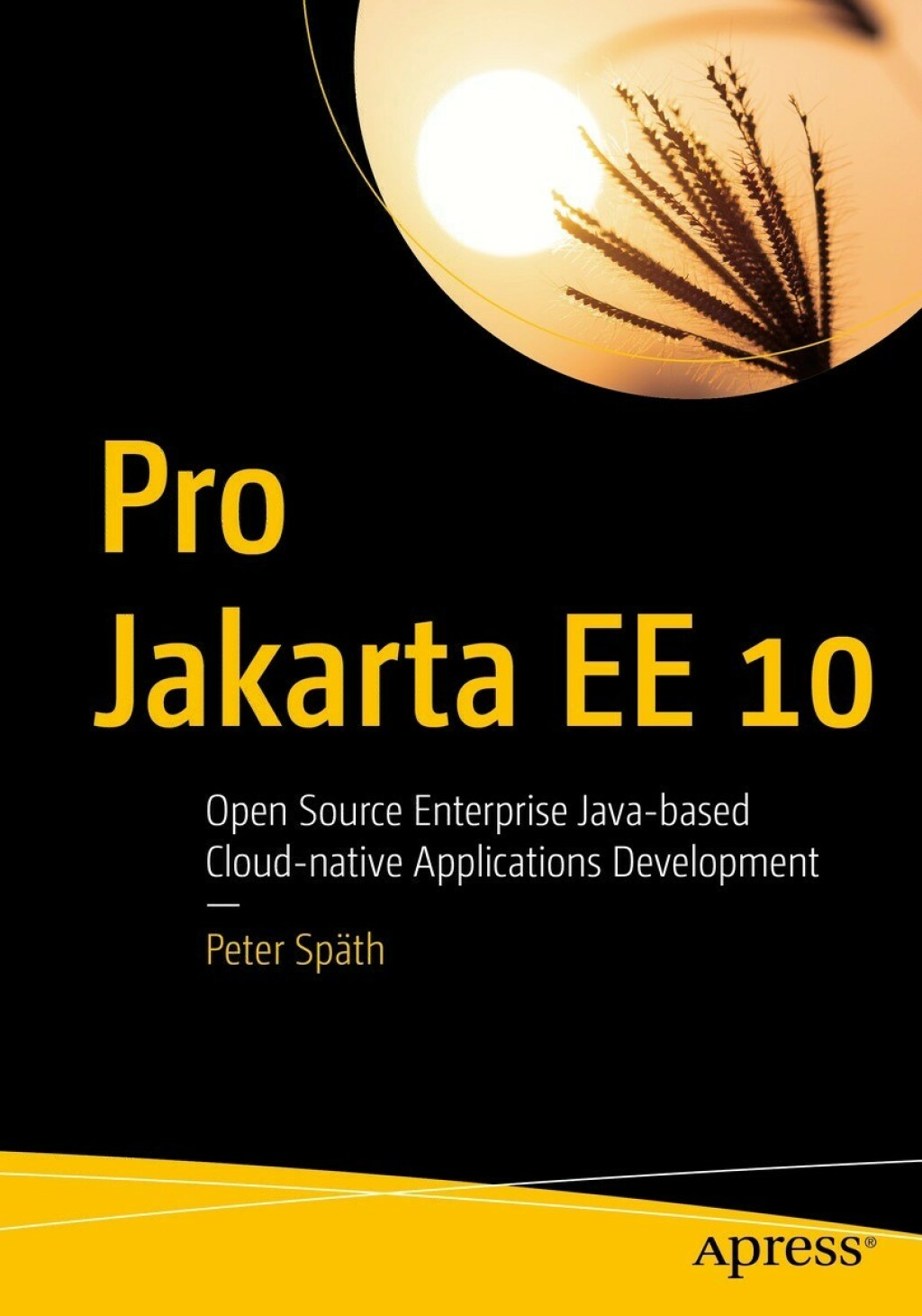 Pro Jakarta EE 10 Open Source Enterprise Java-based Cloud-native Applications Development  â€“ PDF/EPUB Version Downloadable