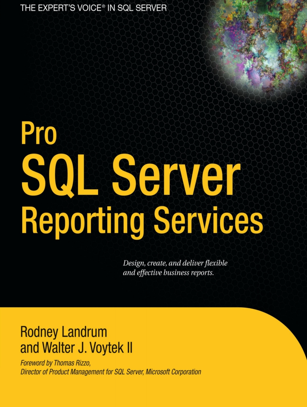 Pro SQL Server Reporting Services  â€“ PDF/EPUB Version Downloadable