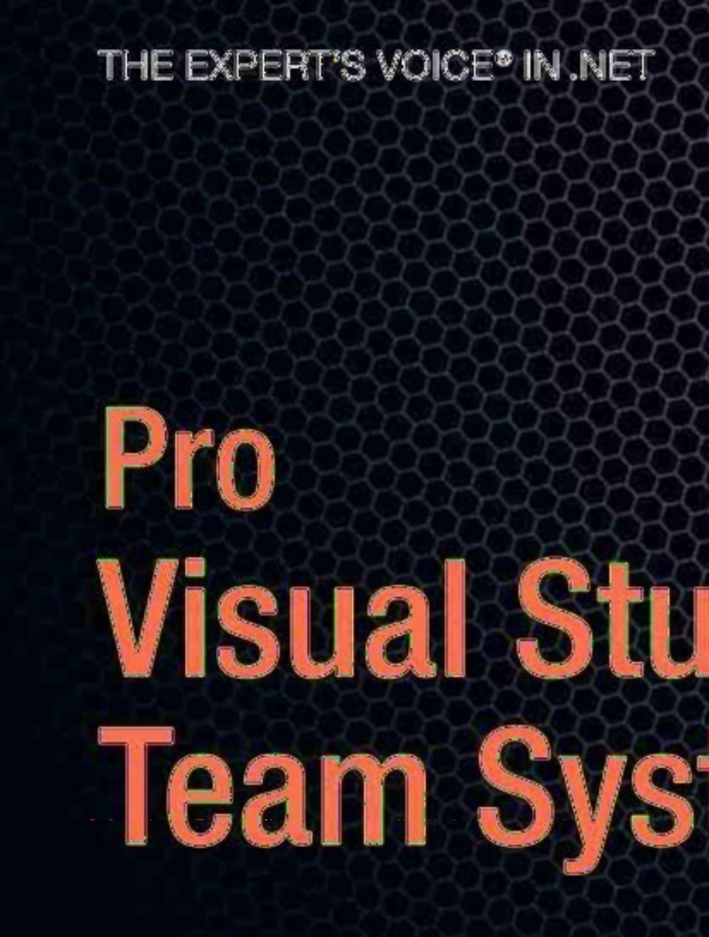 Pro Visual Studio 2005 Team System  â€“ PDF/EPUB Version Downloadable
