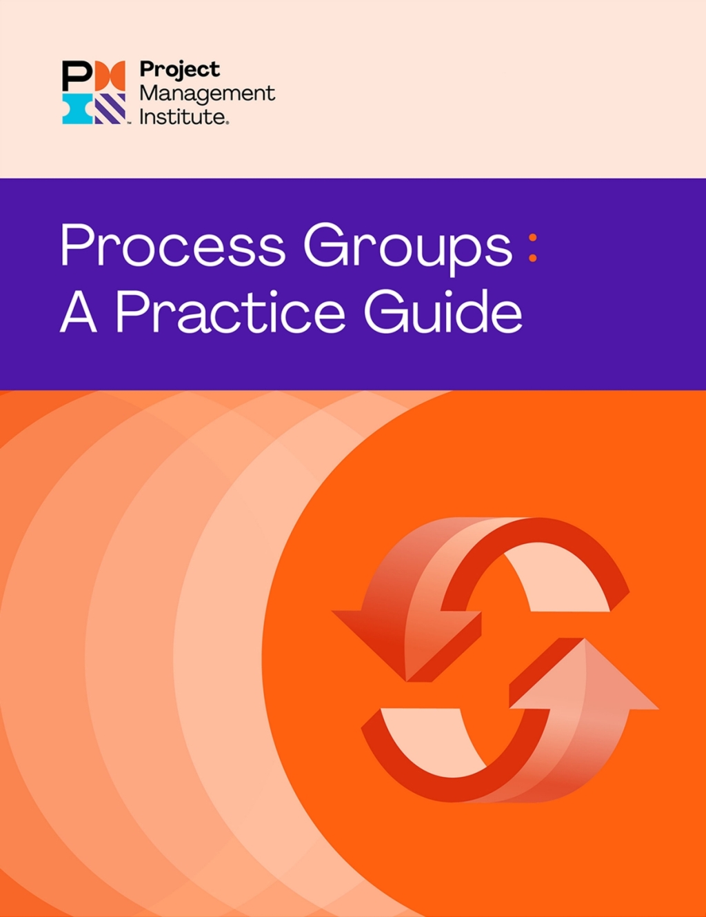 Process Groups: A Practice Guide  â€“ PDF/EPUB Version Downloadable