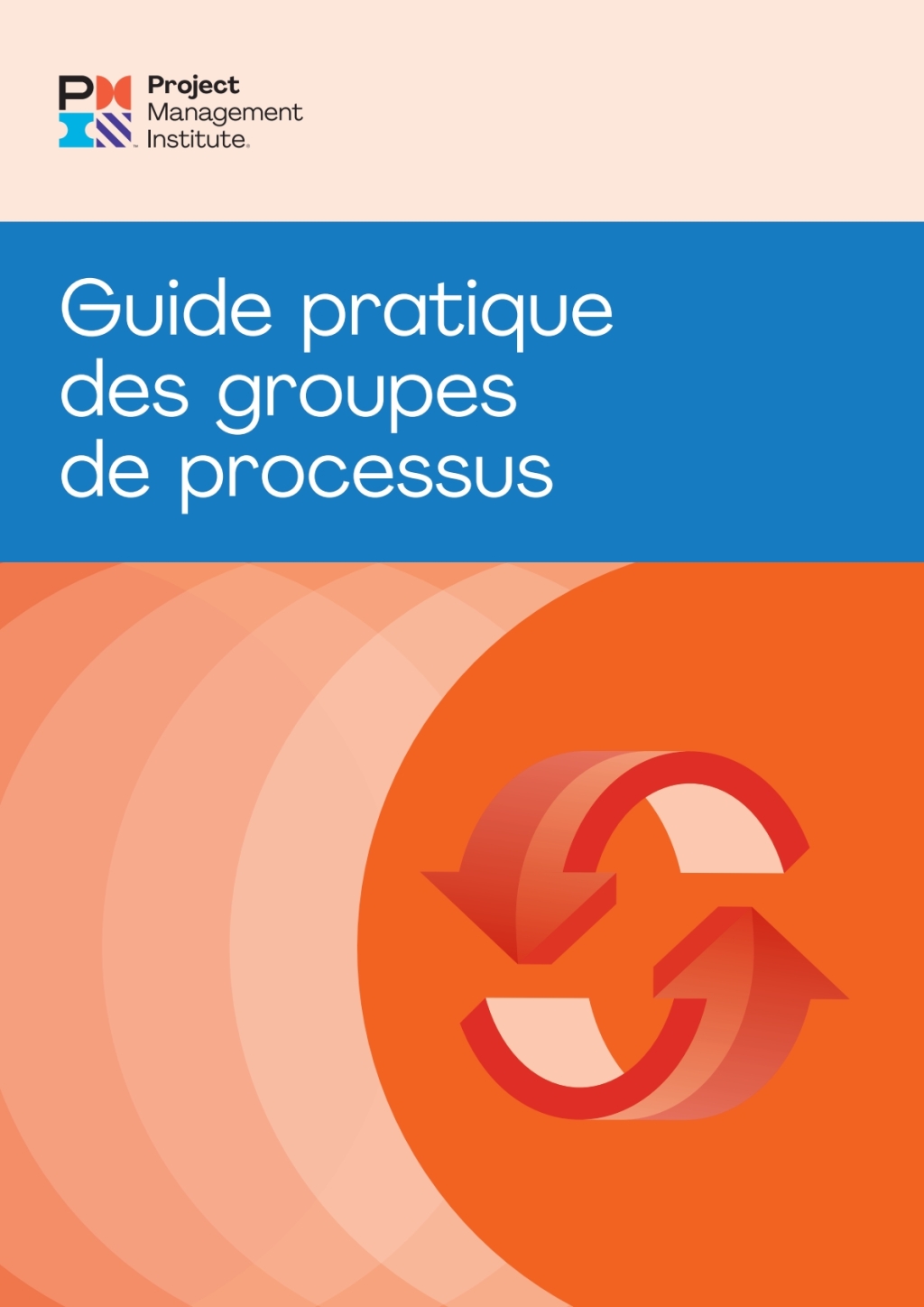 Process Groups: A Practice Guide (FRENCH)  â€“ PDF/EPUB Version Downloadable