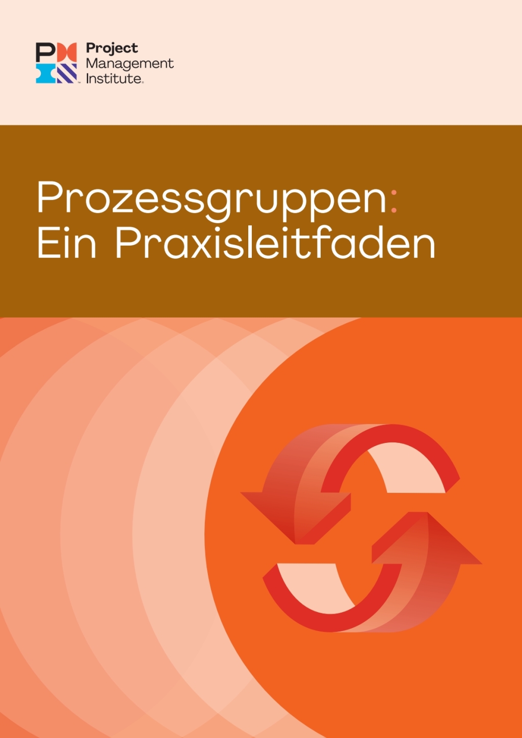 Process Groups: A Practice Guide (GERMAN)  â€“ PDF/EPUB Version Downloadable