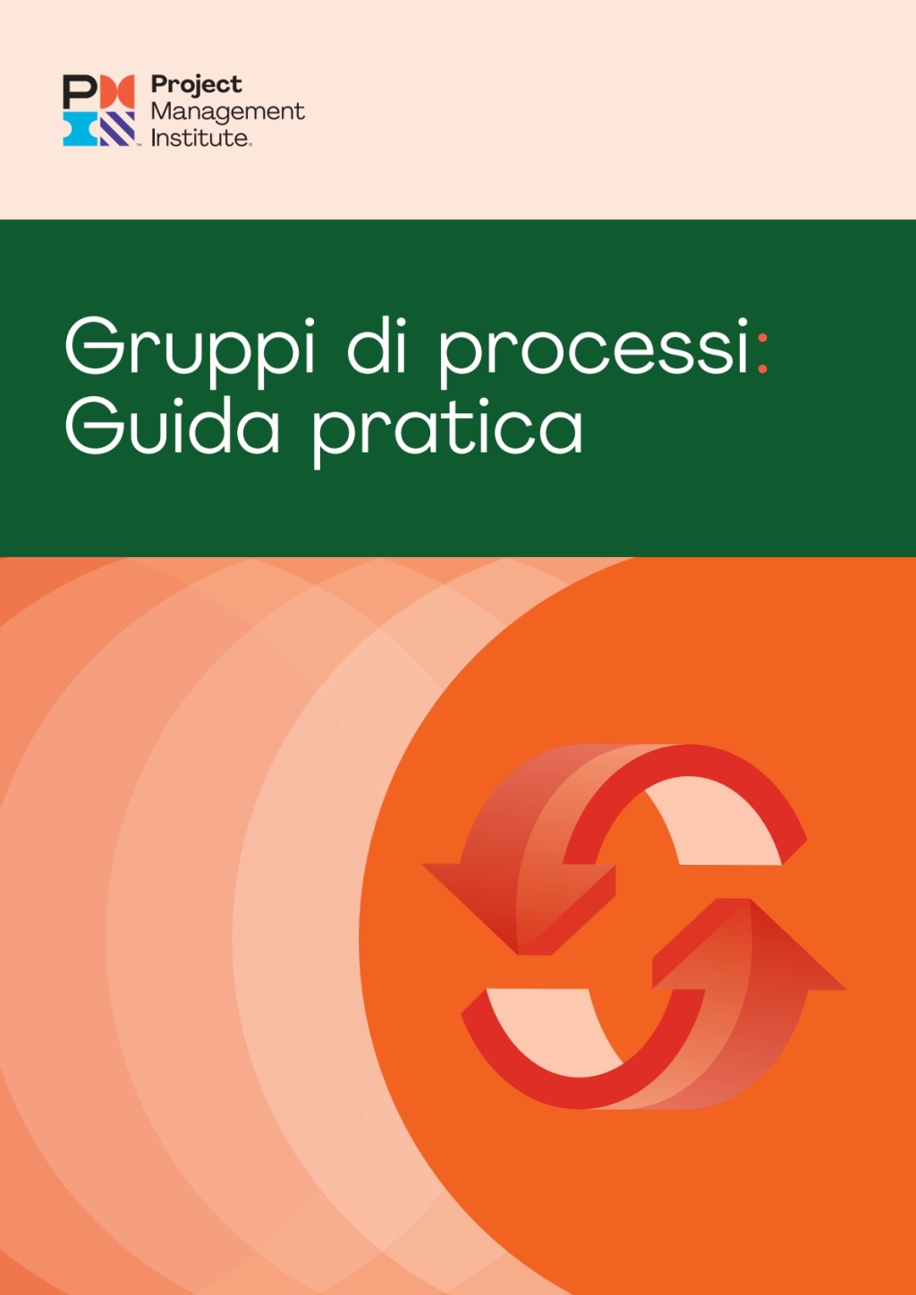 Process Groups: A Practice Guide (ITALIAN)  â€“ PDF/EPUB Version Downloadable