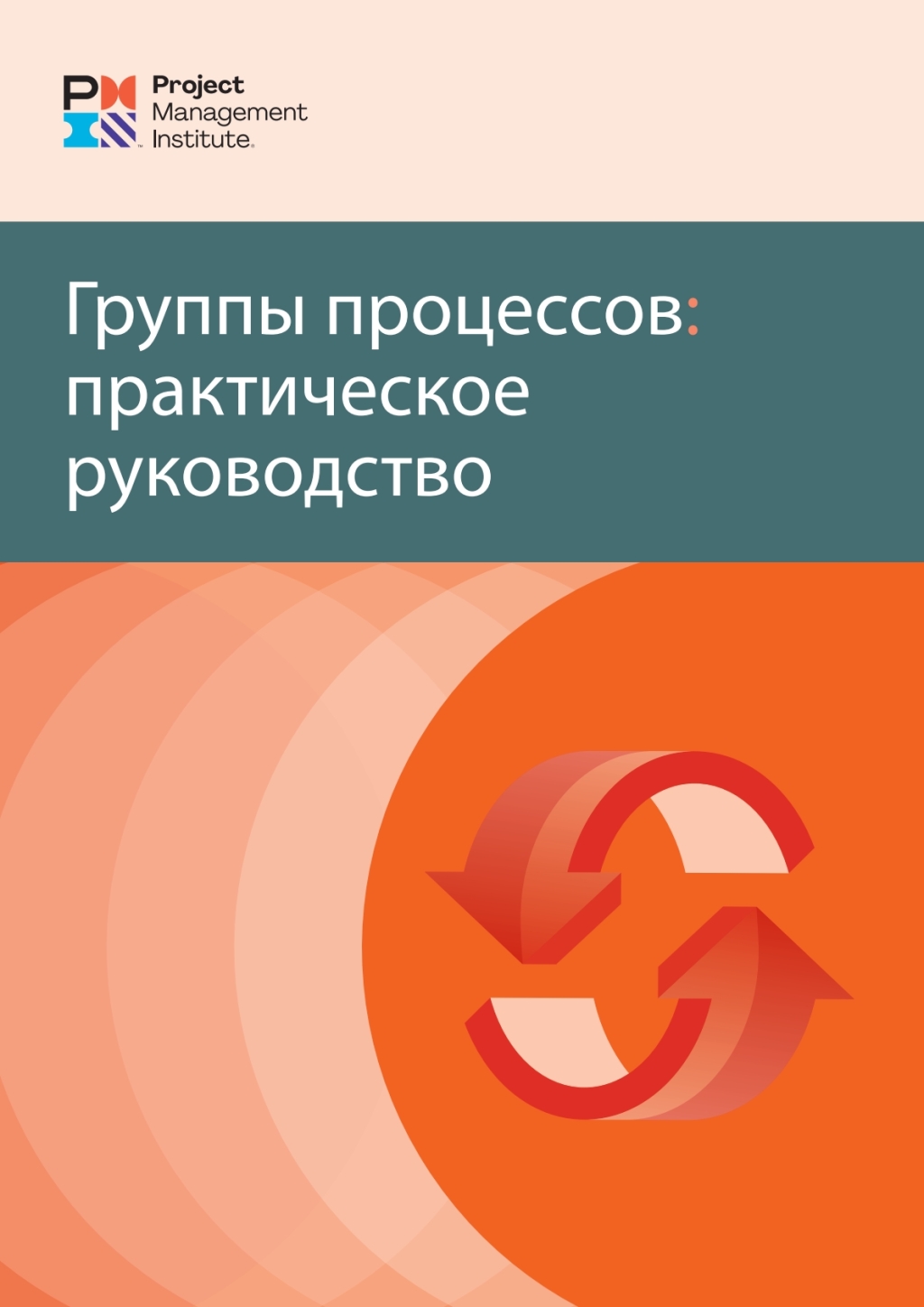 Process Groups: A Practice Guide (RUSSIAN)  â€“ PDF/EPUB Version Downloadable