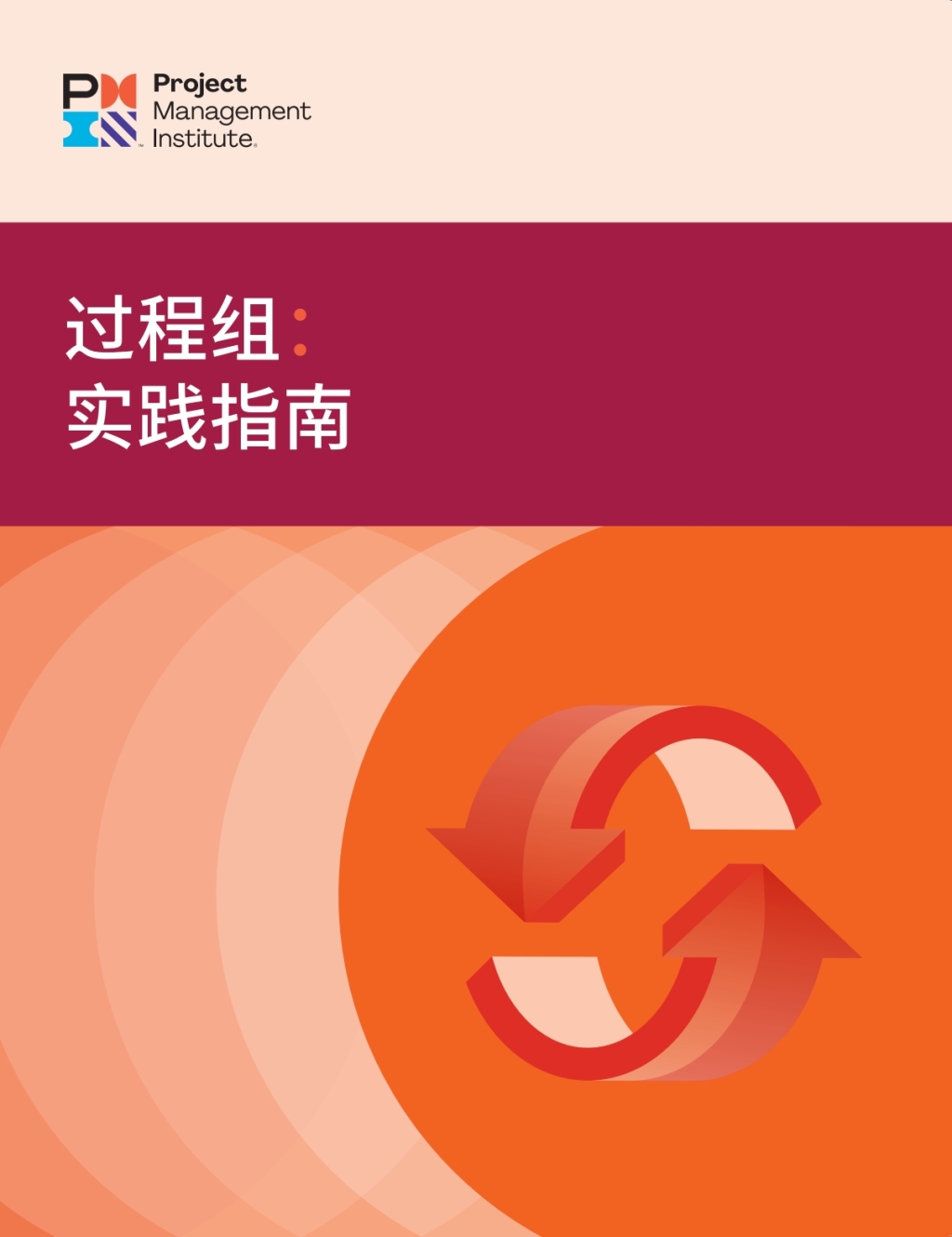 Process Groups: A Practice Guide (SIMPLIFIED CHINESE)  â€“ PDF/EPUB Version Downloadable