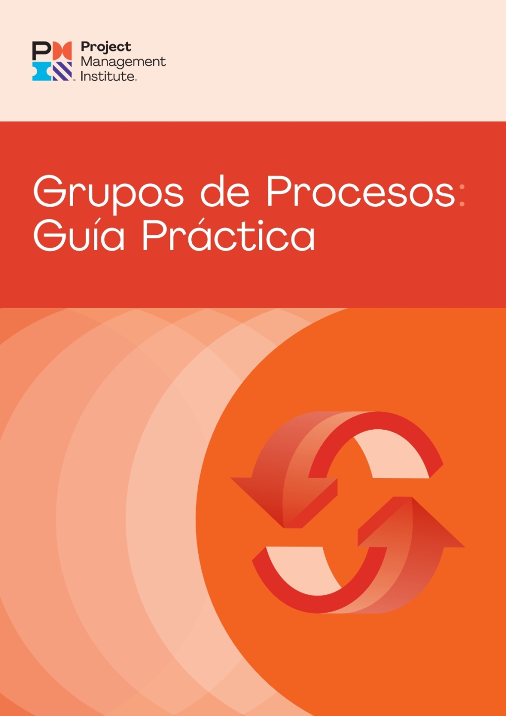 Process Groups: A Practice Guide (SPANISH)  â€“ PDF/EPUB Version Downloadable
