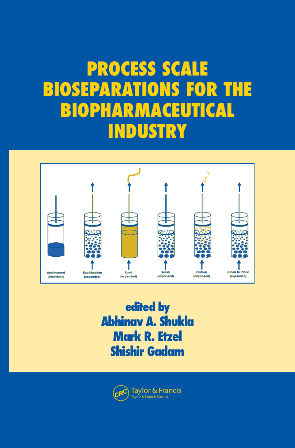 Process Scale Bioseparations for the Biopharmaceutical Industry 1st Edition â€“ PDF/EPUB Version Downloadable