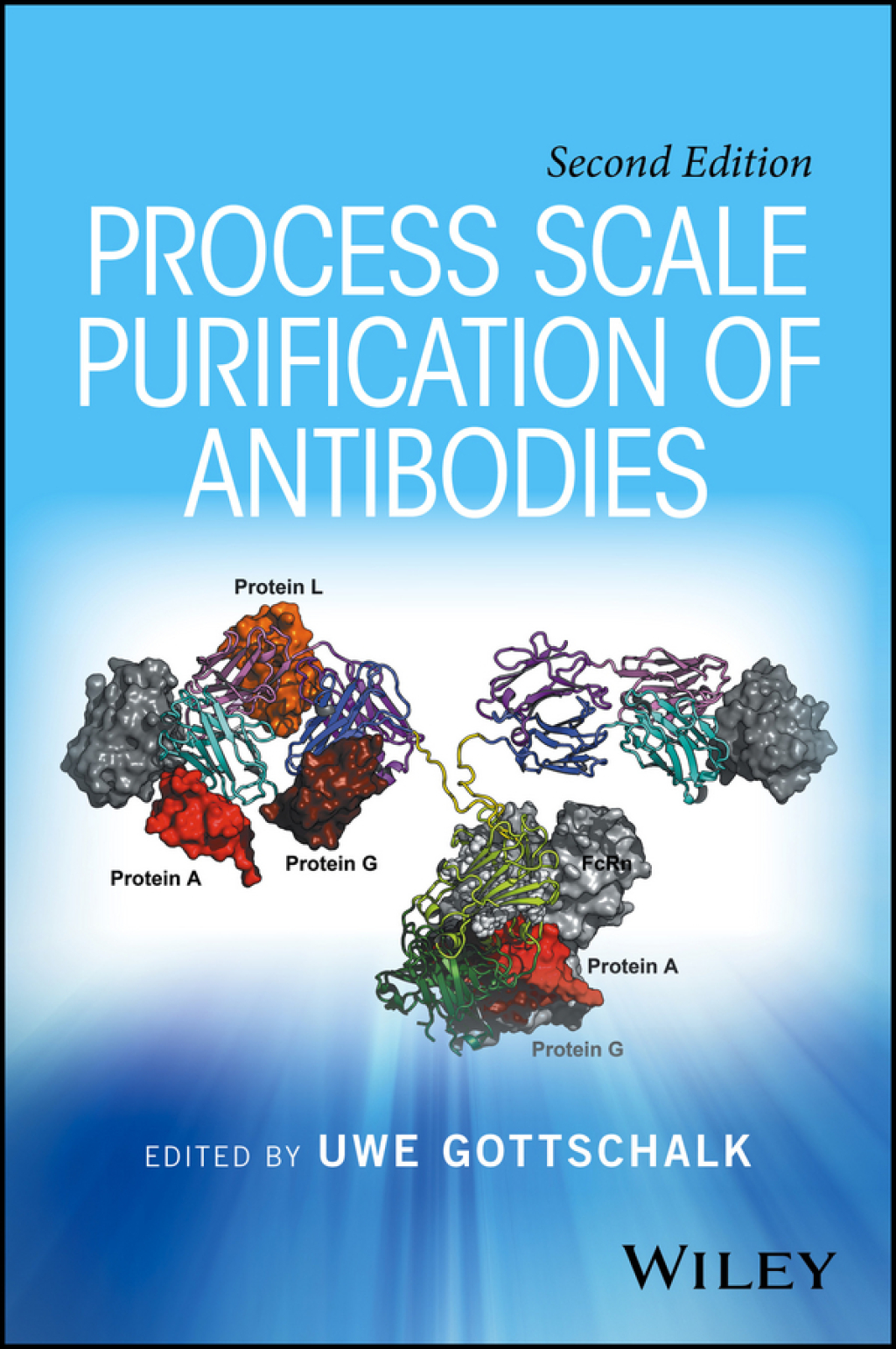 Process Scale Purification of Antibodies 2nd Edition â€“ PDF/EPUB Version Downloadable