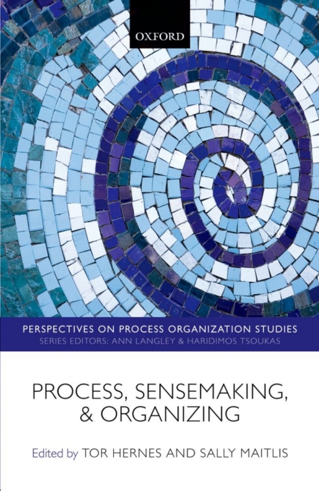 Process, Sensemaking, and Organizing 1st Edition â€“ PDF/EPUB Version Downloadable