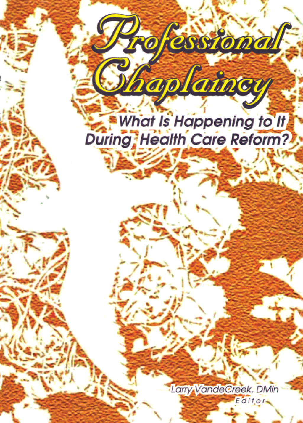 Professional Chaplaincy What Is Happening to It During Health Care Reform? 1st Edition â€“ PDF/EPUB Version Downloadable