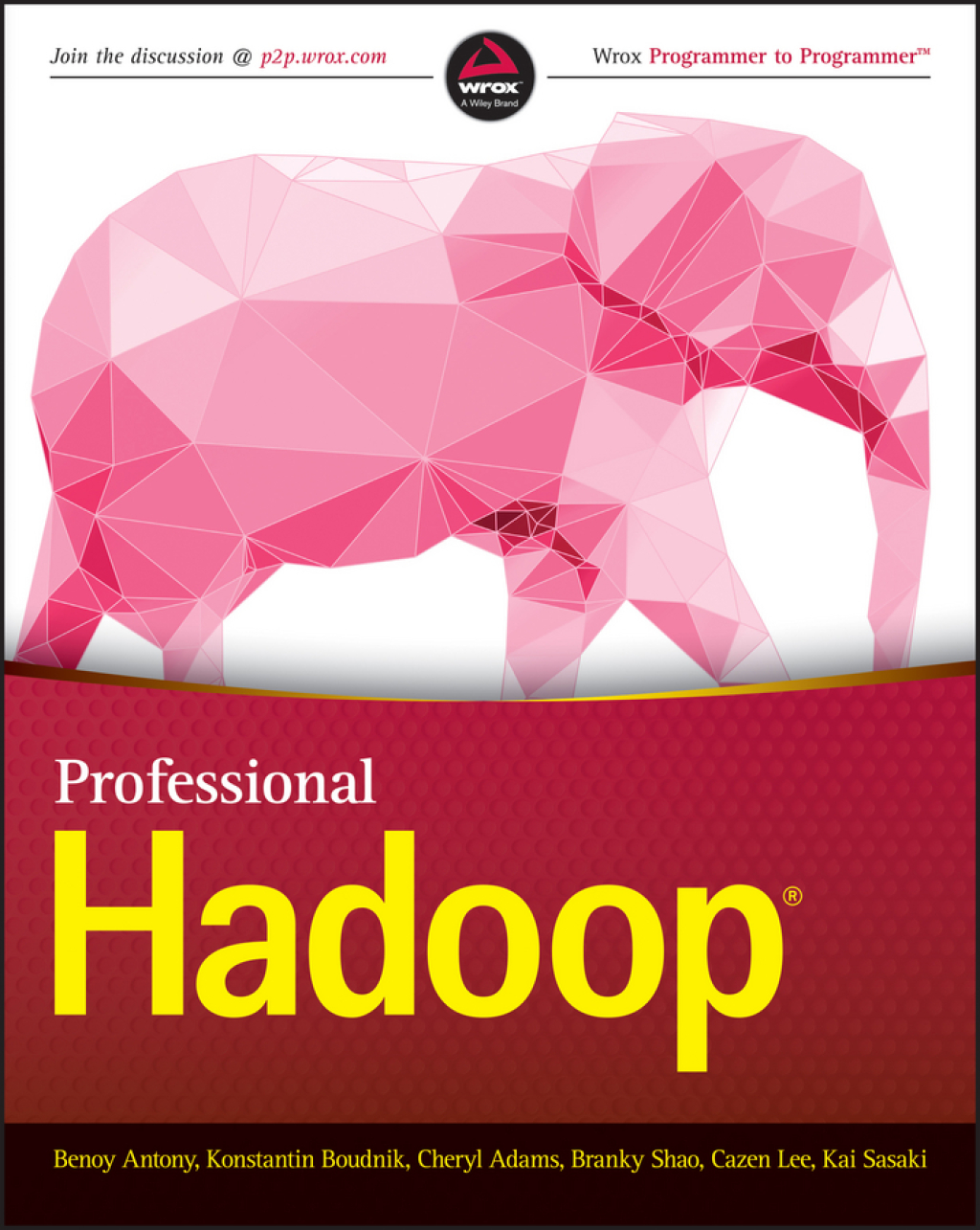 Professional Hadoop 1st Edition â€“ PDF/EPUB Version Downloadable