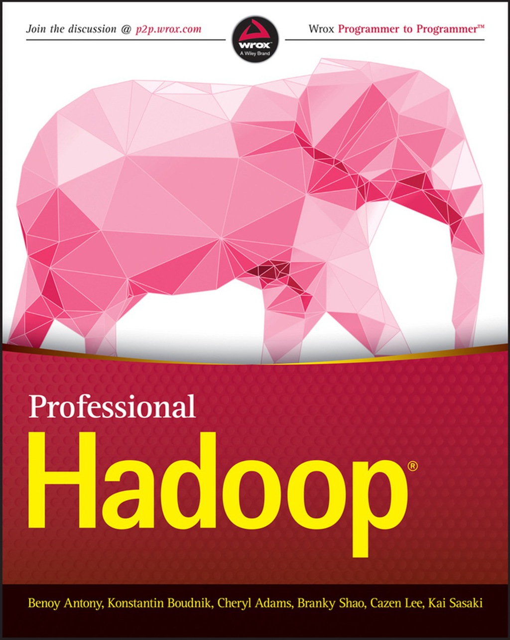 Professional Hadoop 1st Edition â€“ PDF/EPUB Version Downloadable