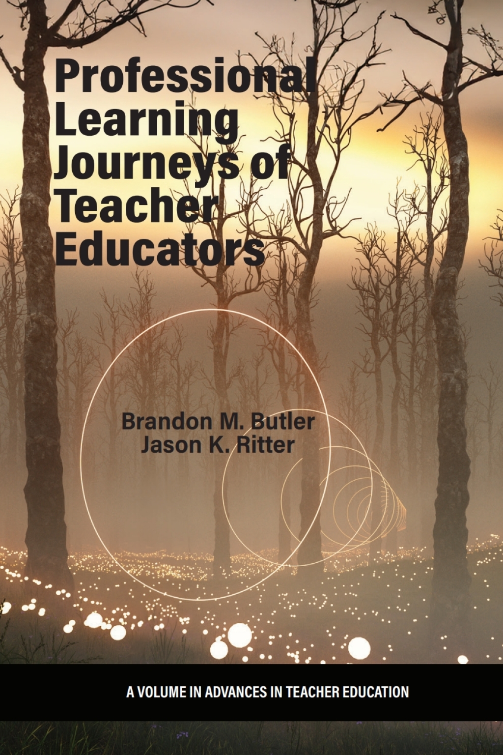 Professional Learning Journeys of Teacher Educators  â€“ PDF/EPUB Version Downloadable
