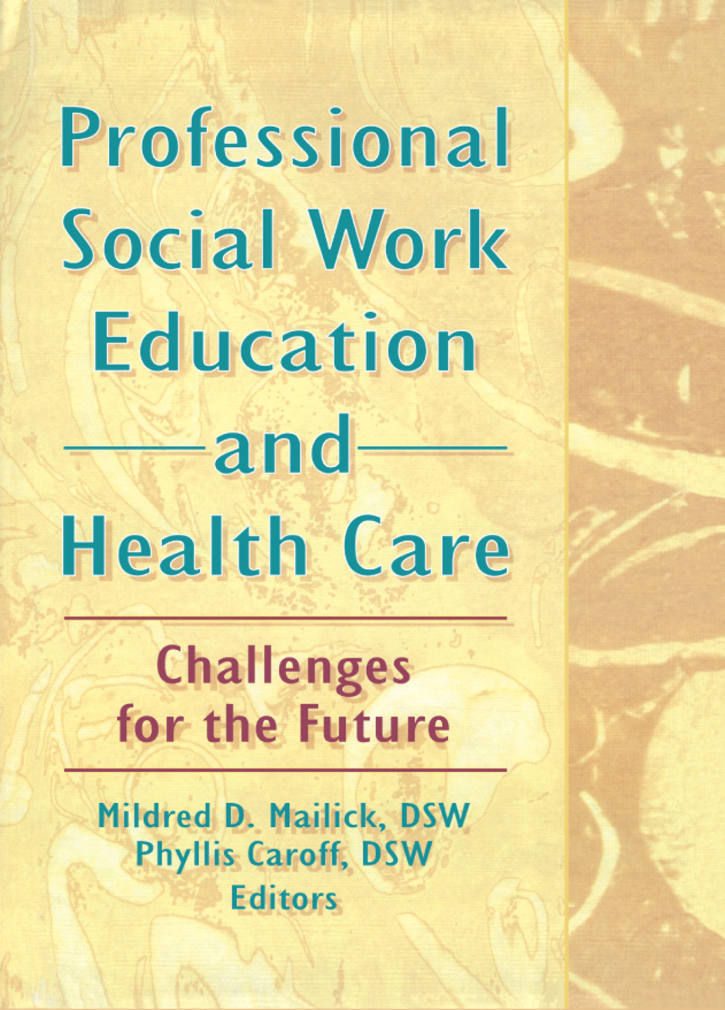 Professional Social Work Education and Health Care Challenges for the Future 1st Edition â€“ PDF/EPUB Version Downloadable