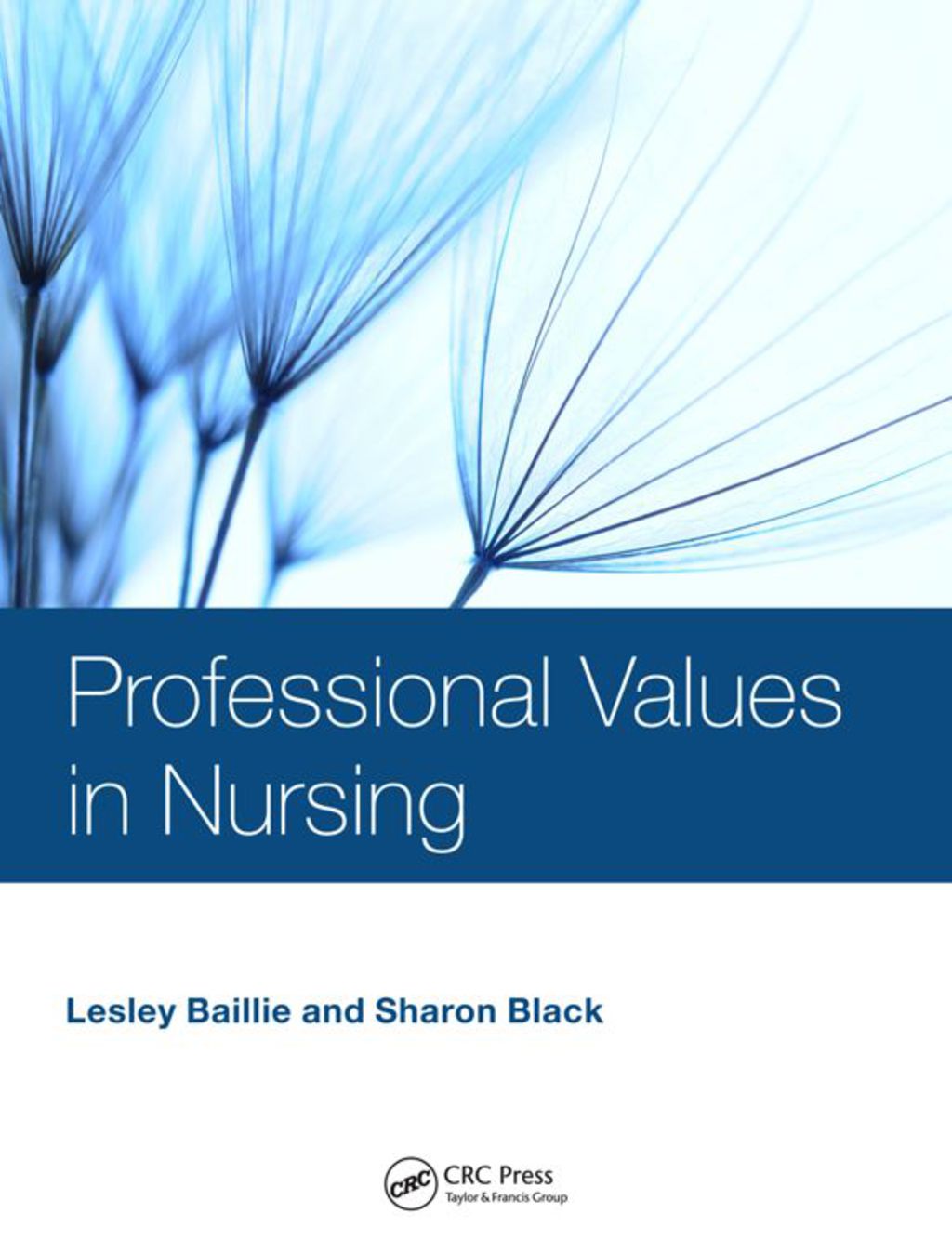 Professional Values in Nursing 1st Edition â€“ PDF/EPUB Version Downloadable