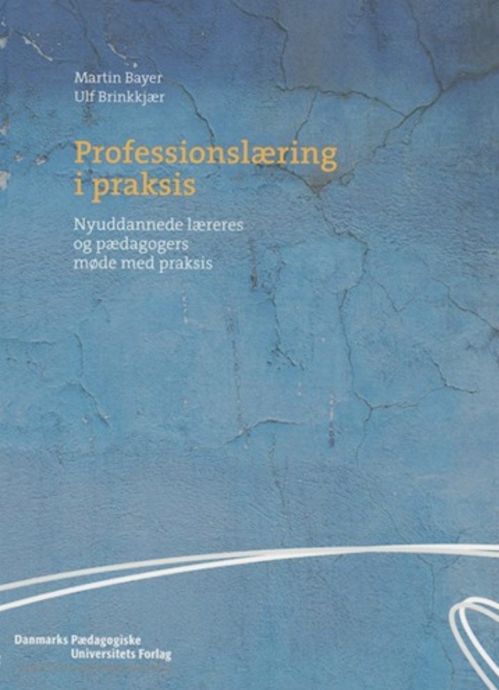 ProfessionslAering i praksis Nyuddannede lAereres og pAedagogers mode med praksis 1st Edition â€“ PDF/EPUB Version Downloadable