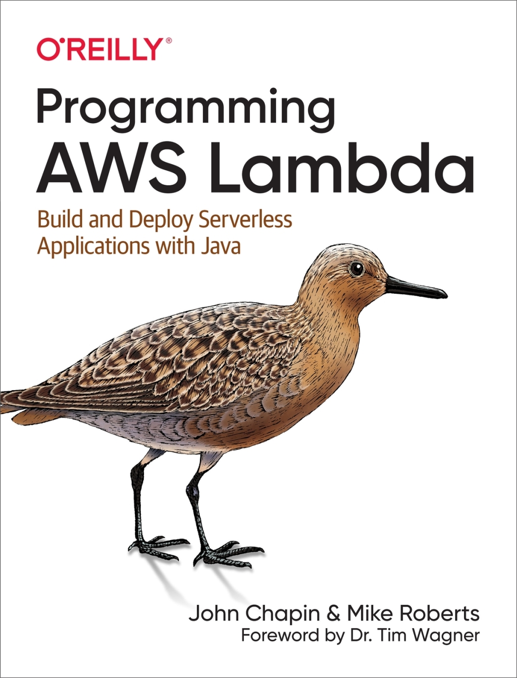 Programming AWS Lambda Build and Deploy Serverless Applications with Java 1st Edition â€“ PDF/EPUB Version Downloadable