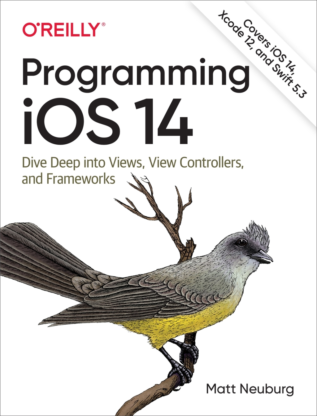 Programming iOS 14 1st Edition â€“ PDF/EPUB Version Downloadable