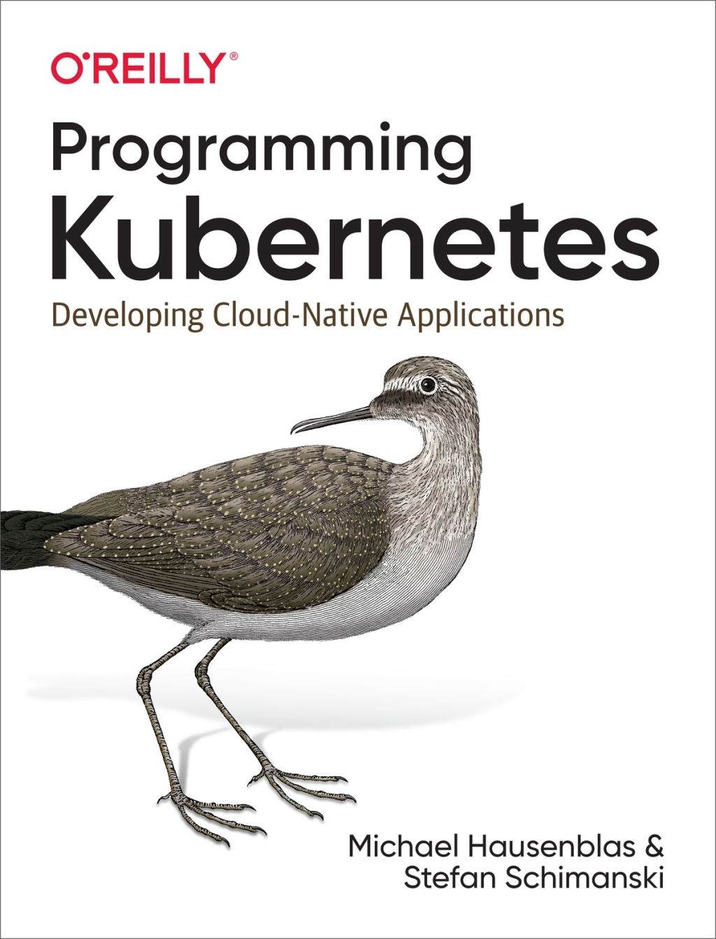 Programming Kubernetes Developing Cloud-Native Applications 1st Edition â€“ PDF/EPUB Version Downloadable