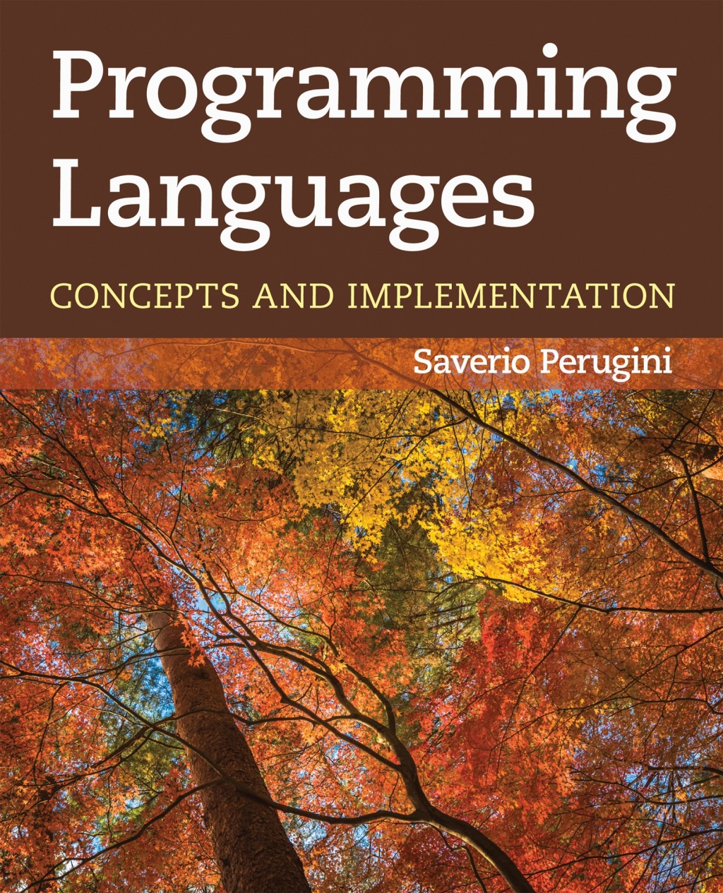 Programming Languages: Concepts and Implementation  â€“ PDF/EPUB Version Downloadable
