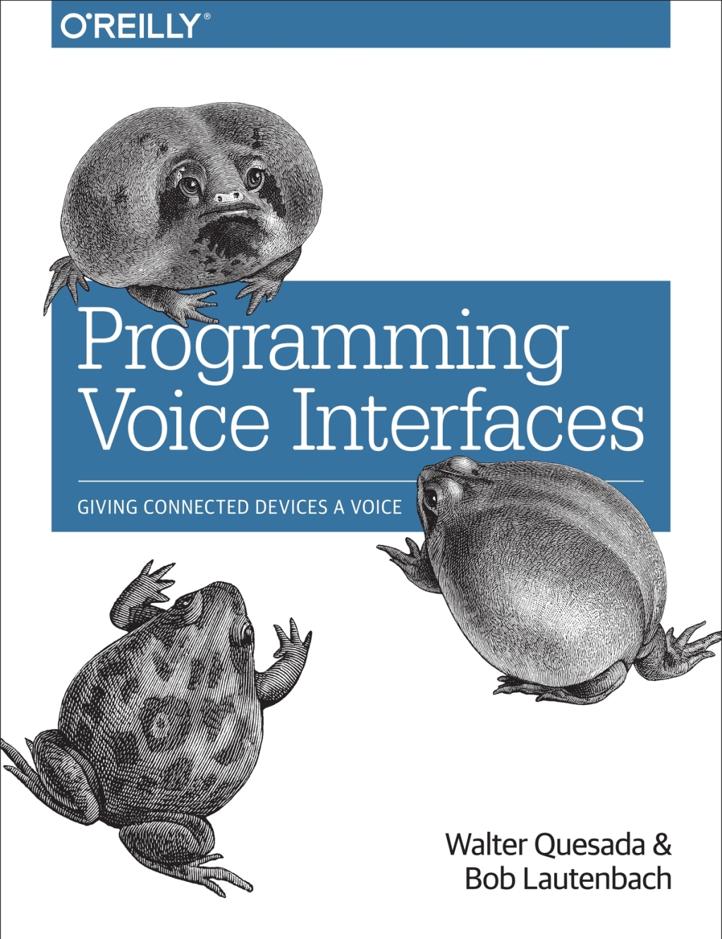 Programming Voice Interfaces 1st Edition â€“ PDF/EPUB Version Downloadable