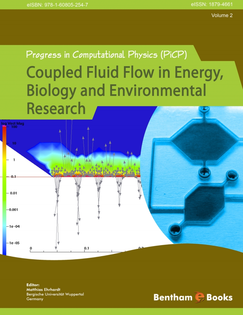 Progress in Computational Physics (PiCP) Volume 2: Coupled Fluid Flow in Energy, Biology and Environmental Research 1st Edition - (PDF/EPUB Version)