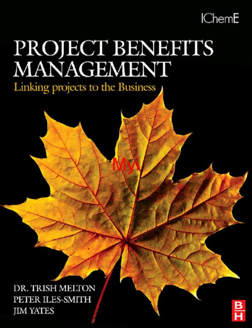 Project Benefits Management: Linking projects to the Business: Linking projects to the Business  â€“ PDF/EPUB Version Downloadable