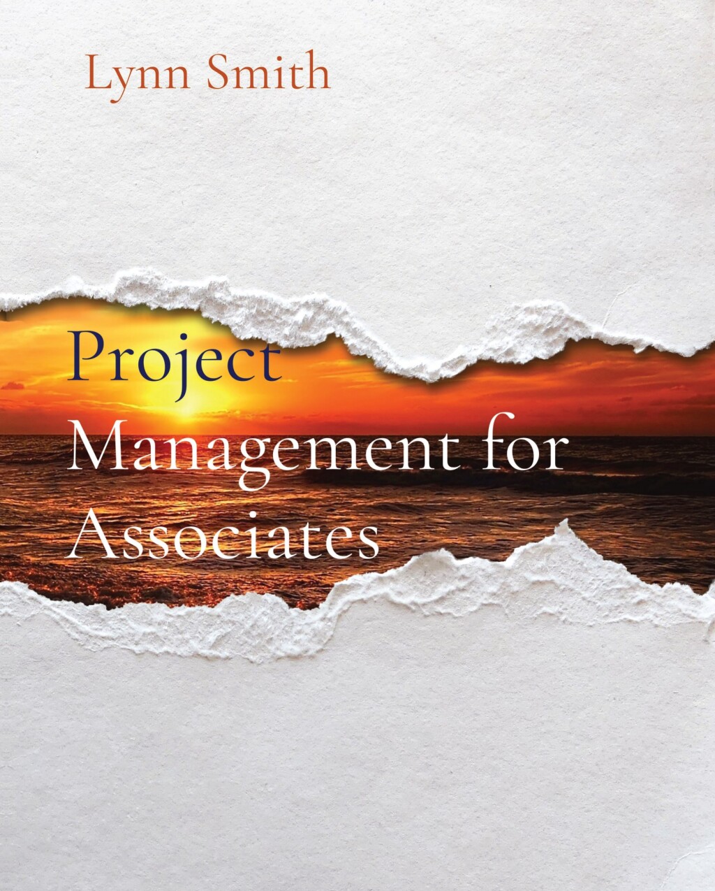 Project Management for Associates 1st Edition â€“ PDF/EPUB Version Downloadable